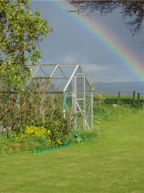 Low rigg farm b&b garden